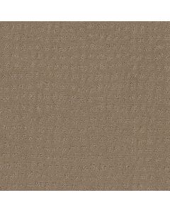 Shaw SOLSTICE Sierra Hills Carpet - SH-ZZ264-00174