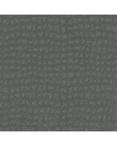 Shaw SOLSTICE Tidal Carpet - SH-ZZ264-00446