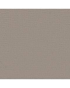 Shaw SOLSTICE Ash Mist Carpet - SH-ZZ264-00511