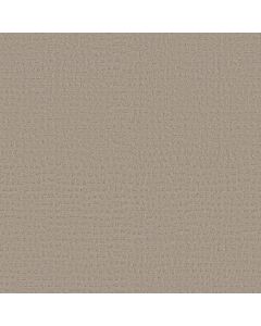 Shaw SOLSTICE Bit Of Gray Carpet - SH-ZZ264-00552