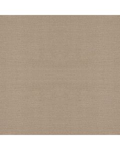 Shaw CAPISTRANO Dune Carpet - SH-ZZ266-00152