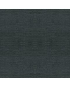 Shaw CAPISTRANO Marina Carpet - SH-ZZ266-00458