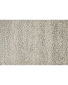 Stanton Allegory Silverfox Carpet - ST-ALLEGORY-98701