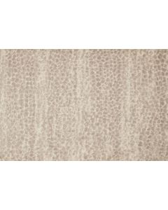 Stanton Allegory Oyster Carpet - ST-ALLEGORY-98704