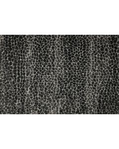 Stanton Allegory Graphite Carpet - ST-ALLEGORY-98706