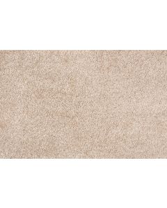 Stanton Noble Latte Carpet - ST-NOBLE-25244