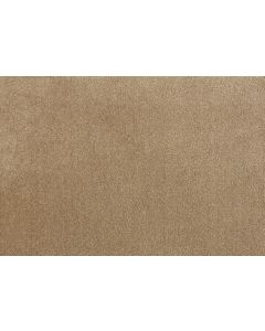 Stanton Trent Mushroom Carpet - ST-TRENT-31501