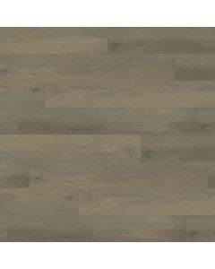 PARADIGM TERN PPPSPC2027 PERFORMER PLUS COLLECTION