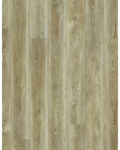 TRANCE PINE, 04107, CORETEC PLUS HD 7X60, VV806