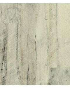 TRIDENT MAPLE, SANGO COLLECTION, UP4879, QUICKSTEP