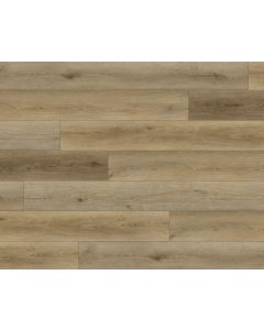 PARADIGM TRUFFLE PPSPC2027 PERFORMER 20MM COLLECTION