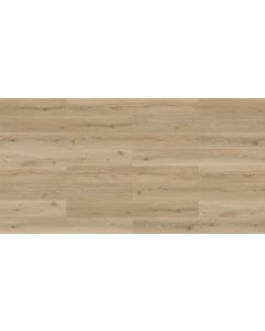 Megaclic Valenza MCST-2312 — close-up plank, overhead view