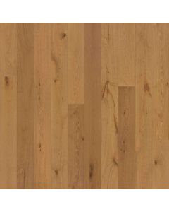 GARRISON, VOLTO, GFALO7508, ALLORA COLLECTION