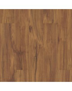 CORETEC GOLD COAST ACACIA VV023-00201 ORIGINALS CLASSICS