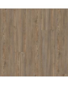 CORETEC TREASURE PINE VV457-02906 ORIGINALS PREMIUM PLUS