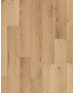 CAIRO OAK, 02956, CORETEC PRO PLUS XL ENHANCED, VV491