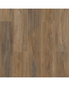 SHORELINE MAPLE VV492-02030 CORETEC PRO ENHANCED