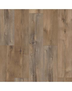 SHORELINE MAPLE VV492-02030 CORETEC PRO ENHANCED