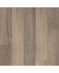 SALTON CHESTNUT, 50001, CORETEC ONE PLUS, VV585