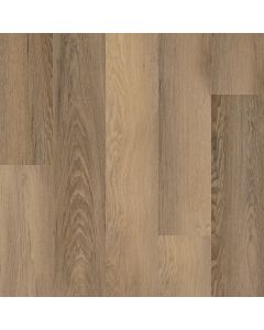BRAWLEY CHESTNUT, 50003, CORETEC ONE PLUS, VV585