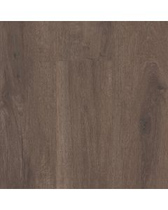 CORETEC GRANDE WILLIS OAK VV662-03003