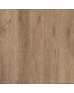 CORETEC GOLDIN OAK VV662-04011