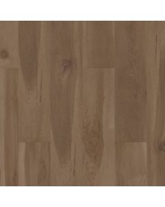 CORETEC BLENDED CARAWAY VV704-04017
