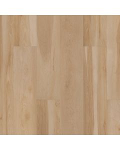 CORETEC BLENDED PRALINE VV704-05021