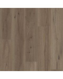 CORETEC MIST OAK VV810-04028