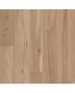 CORETEC BLONDE OAK VV810-05026
