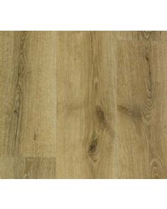 WALKER OAK, COLOSSIA COLLECTION, UC3923, QUICKSTEP