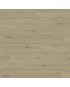 PARADIGM WARBLER PPPSPC2028 PERFORMER PLUS COLLECTION