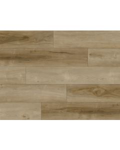 PARADIGM WILDFLOWER PPSPC2030 PERFORMER 20MM COLLECTION