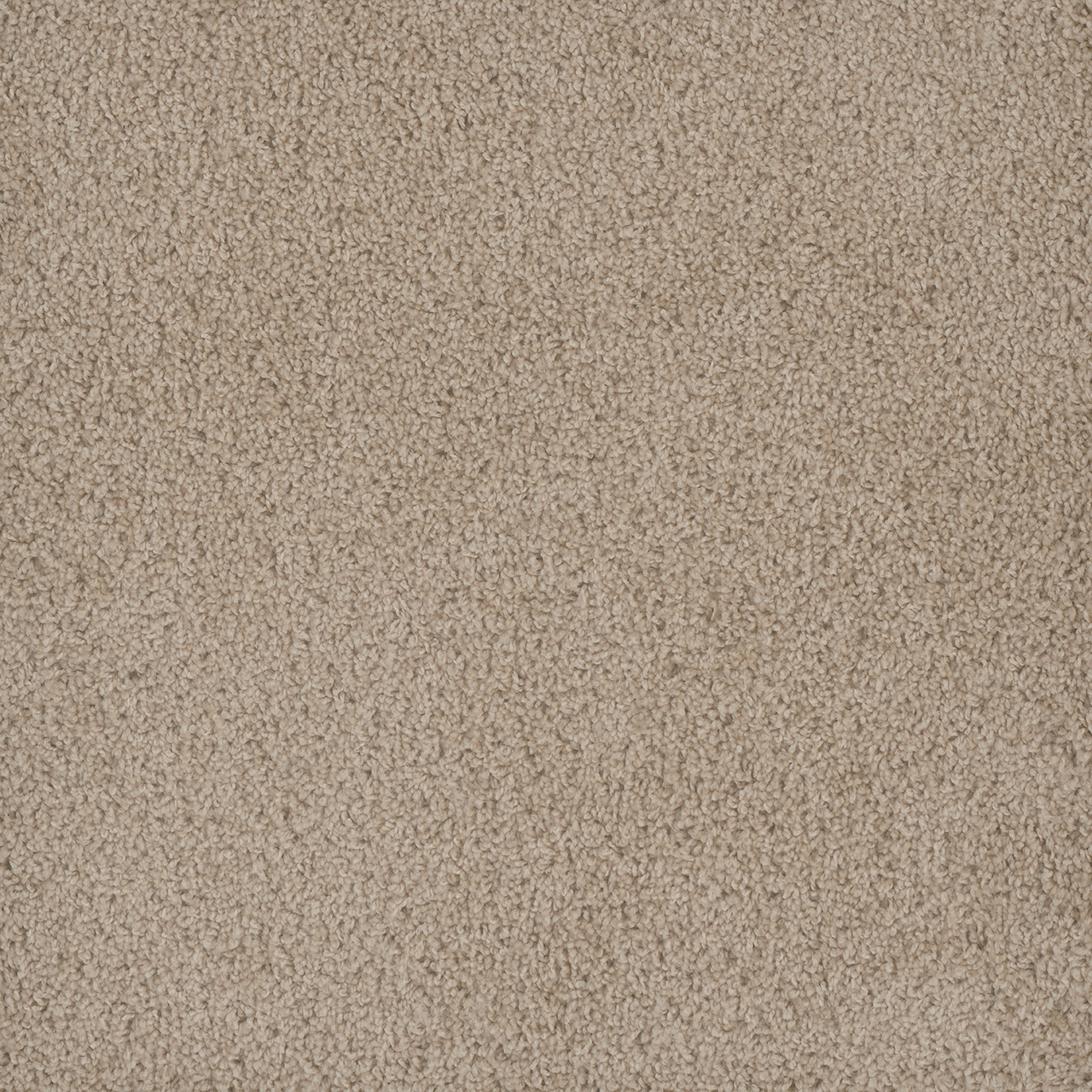 Dreamweaver Hammond Creek I carpet