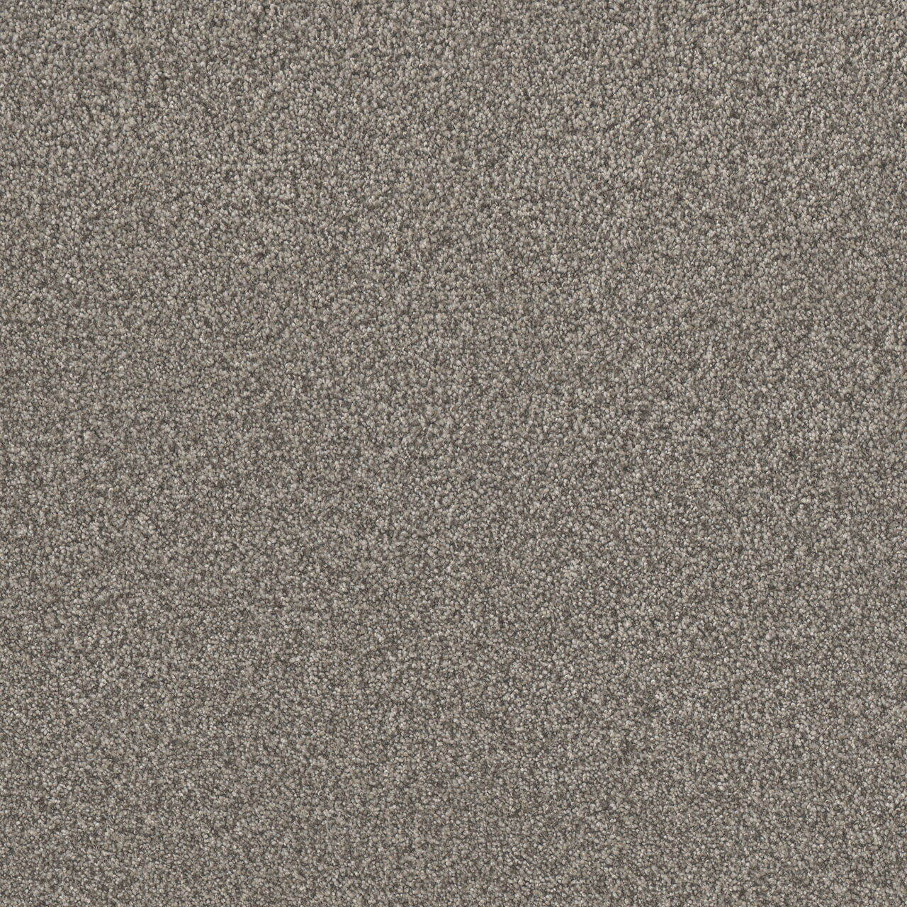 Dreamweaver Lucky Penny I carpet