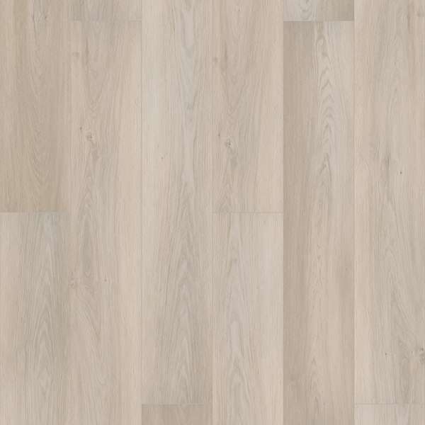 Kent Oak