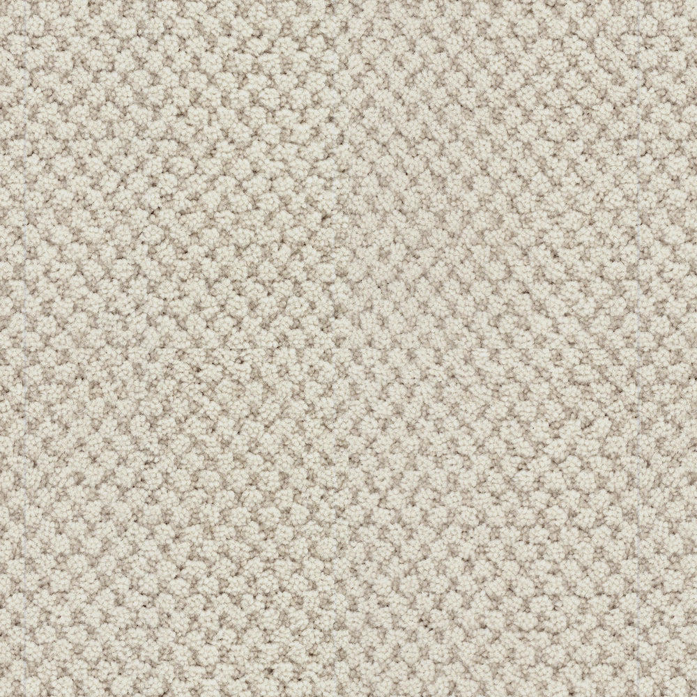 Masland La Parade carpet