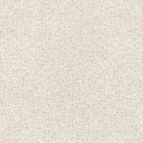 Masland MZ848 carpet