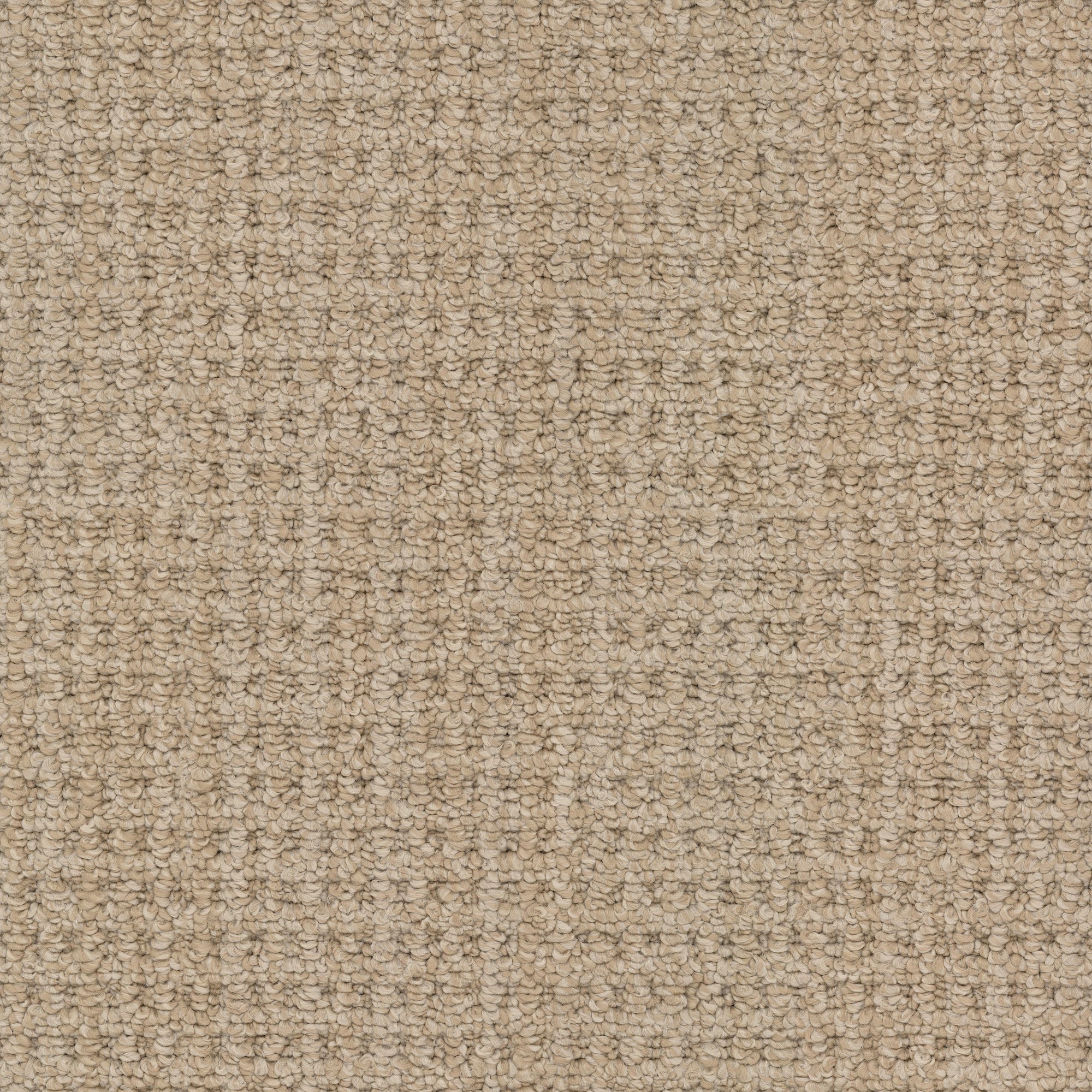 Masland Winslow carpet