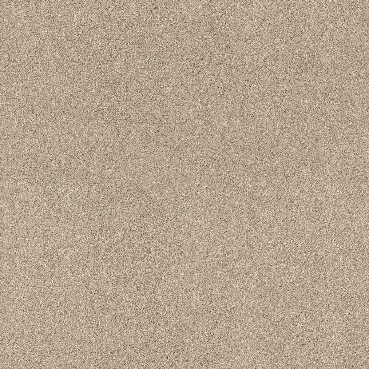 Shaw ACROSS THE BAY carpet