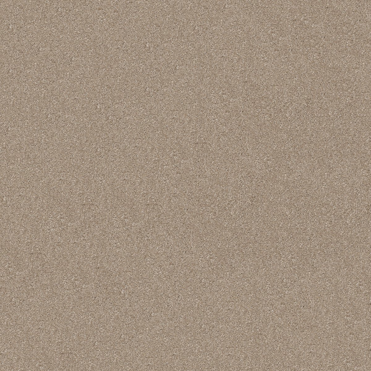 Shaw AG TWO STEP carpet