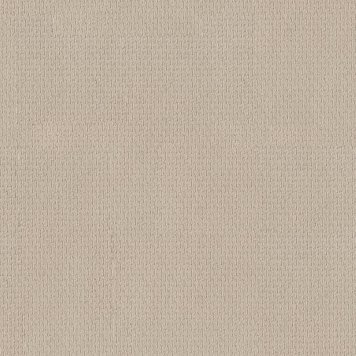 Shaw AG WHAT IT TAKES carpet
