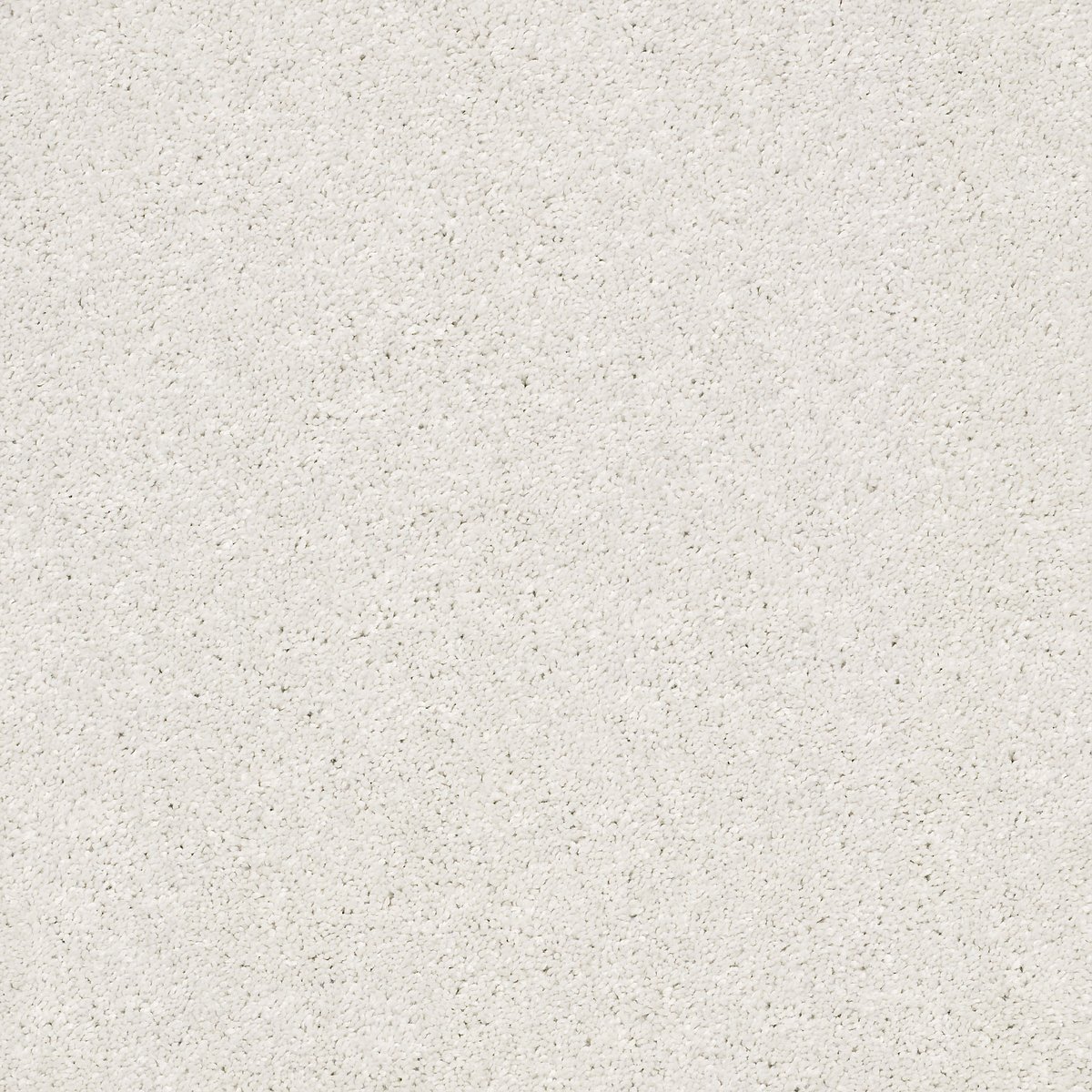 Shaw AG ALLURING carpet