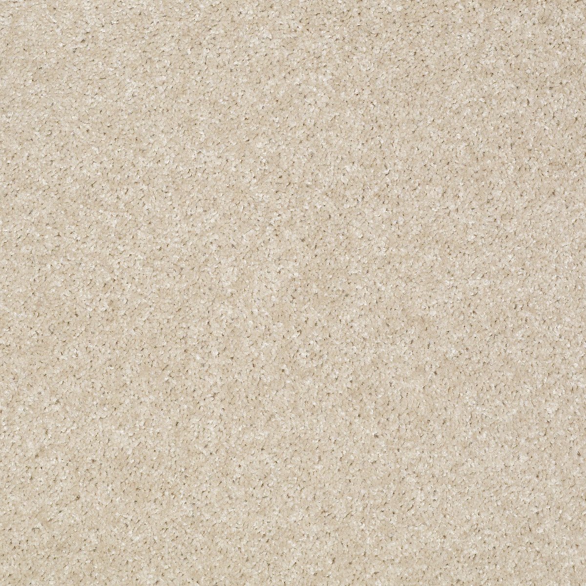 Shaw JET SET carpet