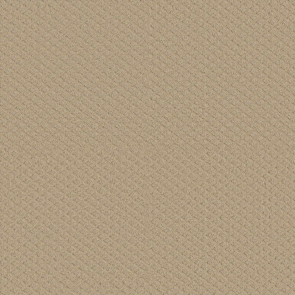 Shaw MODERN CHARM carpet
