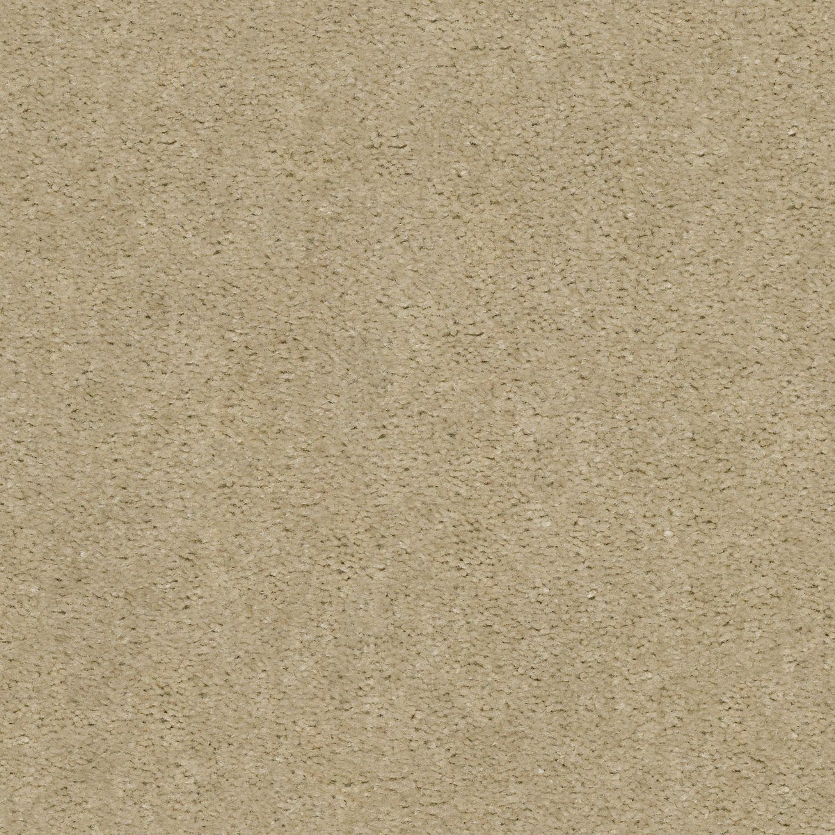 Shaw ARVIN carpet