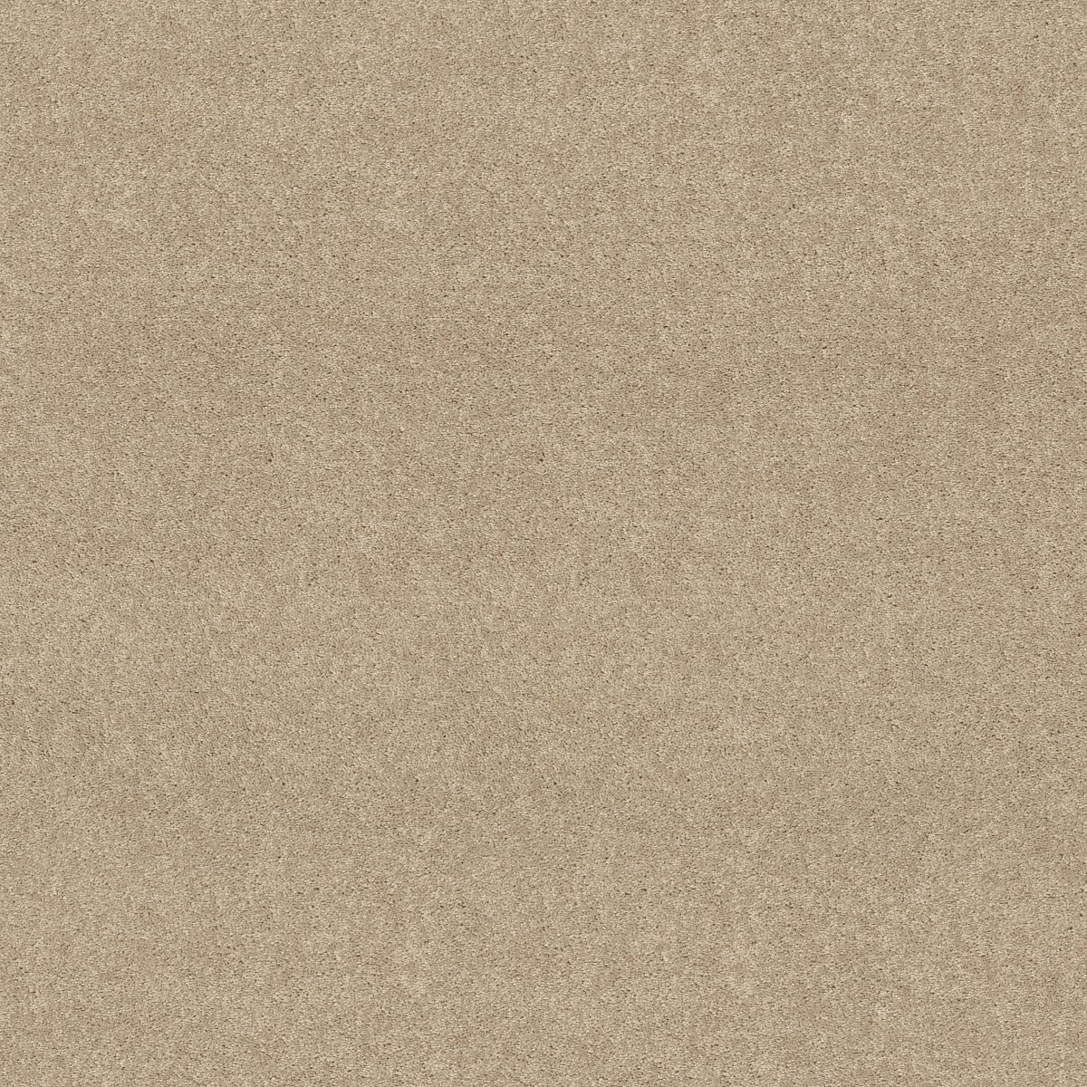 Shaw ESSAY II 12' carpet