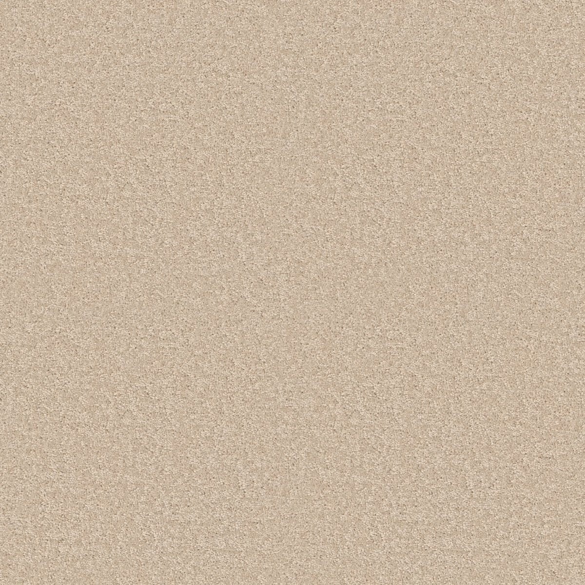 Shaw ESSAY II 15' carpet