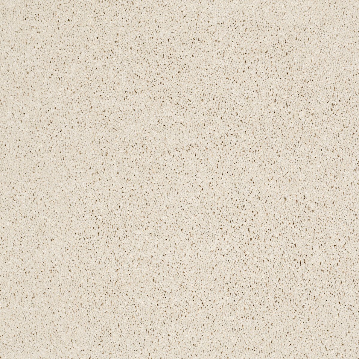Shaw GRAND IMAGE II carpet