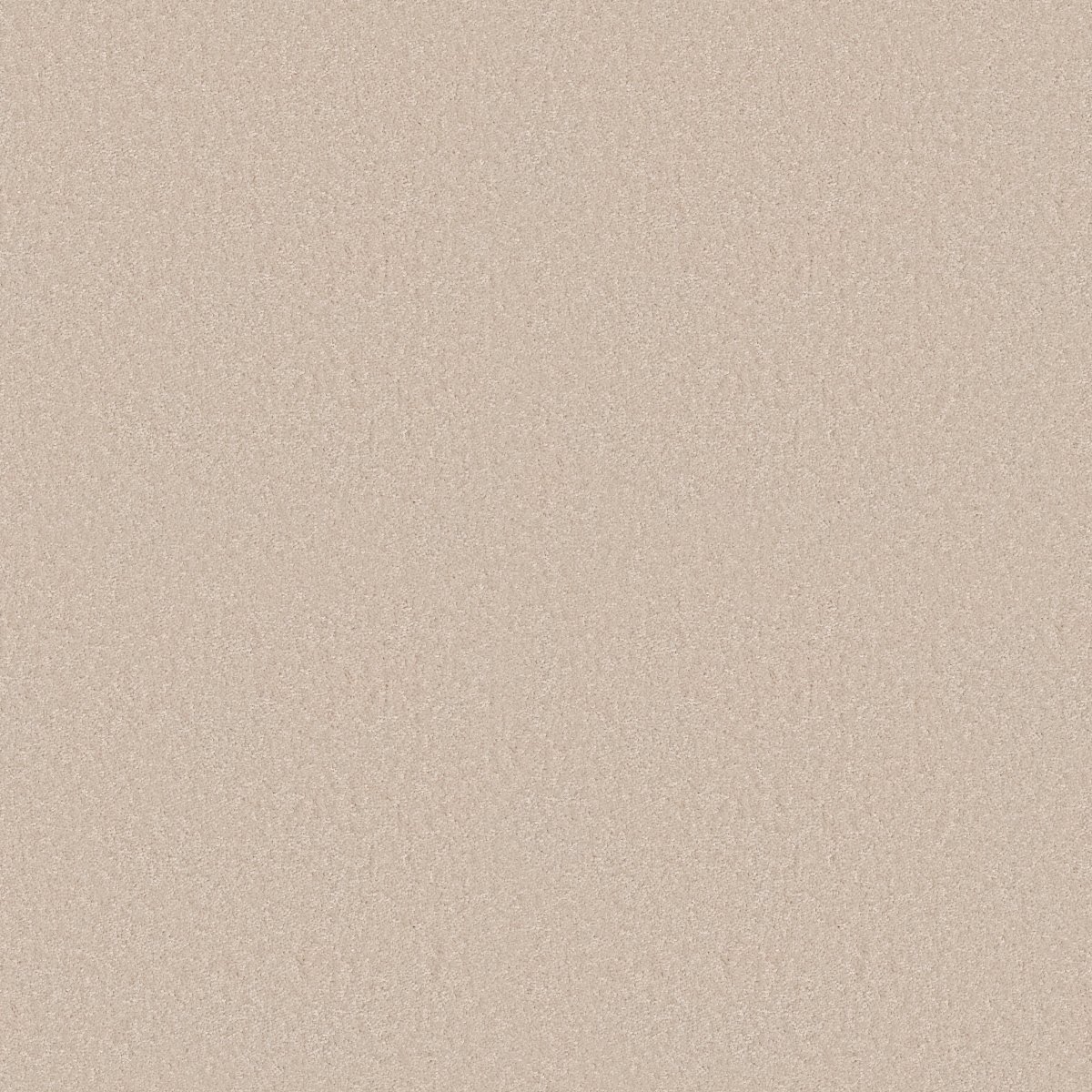 Shaw DYERSBURG II 15' carpet